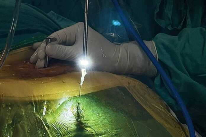 WhatsApp Image 2025-06-05 at 08.58.48