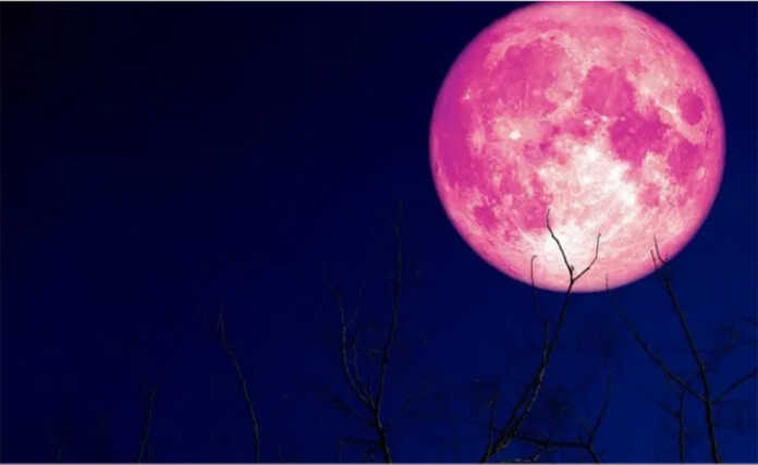 luna de fresa