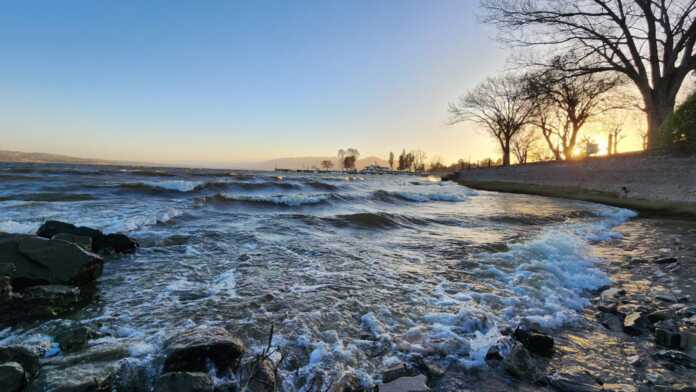 Imagen de WhatsApp 2025-07-04 a las 12.04.54_5d2dda31