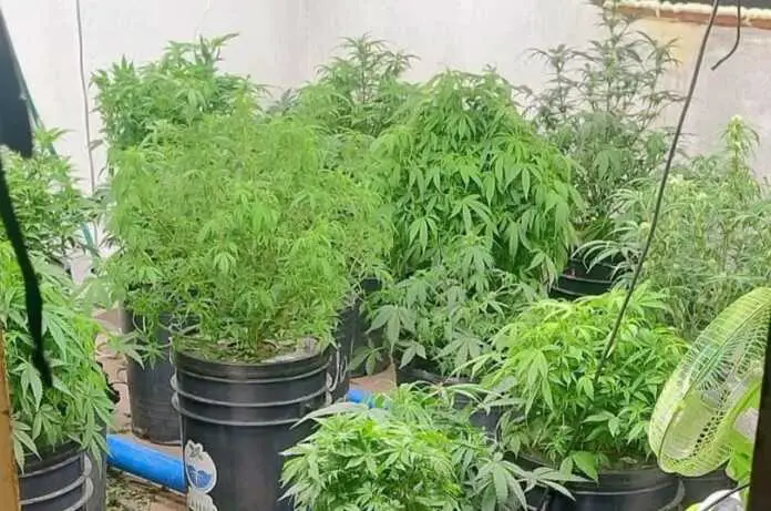 Imagen de WhatsApp 2025-07-08 a las 07.07.42_c2a5b888