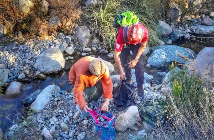 Imagen de WhatsApp 2025-07-15 a las 20.50.59_617a543b