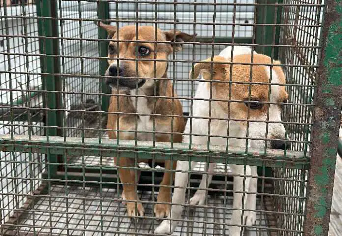 Imagen de WhatsApp 2025-07-25 a las 09.46.03_405184dc