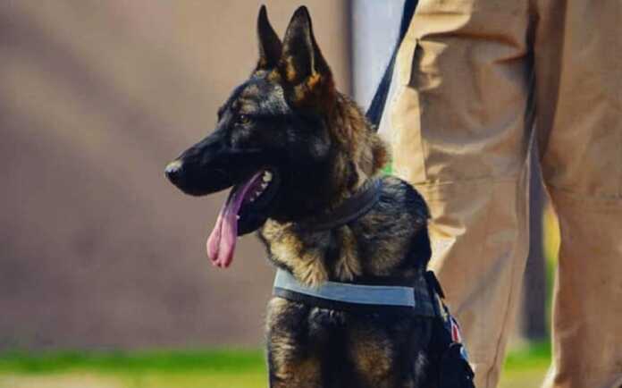 WhatsApp-Image-2025-07-01-at-12.53.34-PM-1536x1534