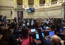 El Senado le dio media sanción a la Ley de Propiedad Privada pero el Gobierno sufrió duros recortes