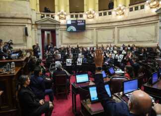 El Senado le dio media sanción a la Ley de Propiedad Privada pero el Gobierno sufrió duros recortes
