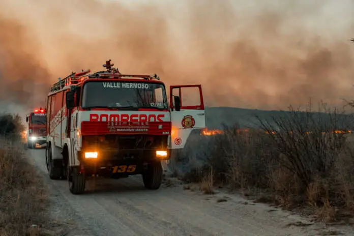 28-08-2024-INCENDIO-CALERA-MALAGUENO-251-1024x683