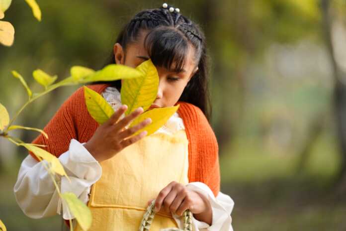 WhatsApp Image 2025-07-31 at 12.16.01 PM (1)