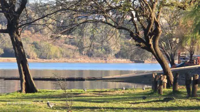 Imagen de WhatsApp 2025-09-09 a las 08.31.48_4c0b6442