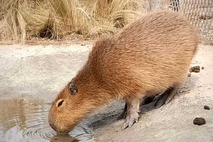 WhatsApp Image 2025-09-06 at 4.21.22 PM