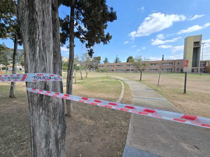 WhatsApp Image 2025-09-15 at 3.37.32 PM (1)