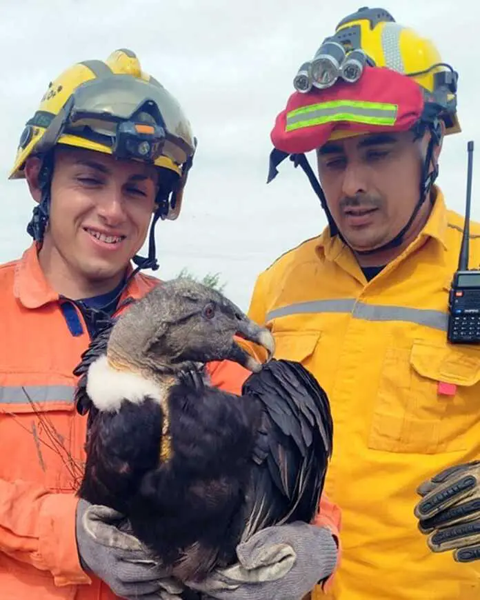 WhatsApp Image 2025-09-30 at 8.43.18 AM