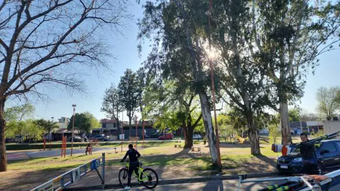 soleado en primavera