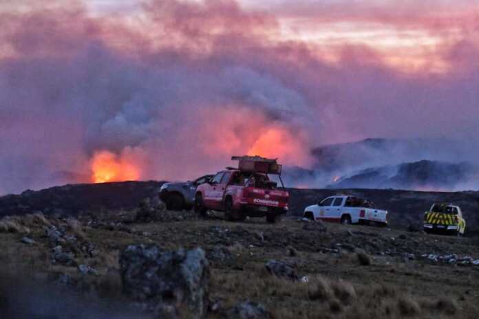 558828070_10239506627232057_7569737121576936883_n