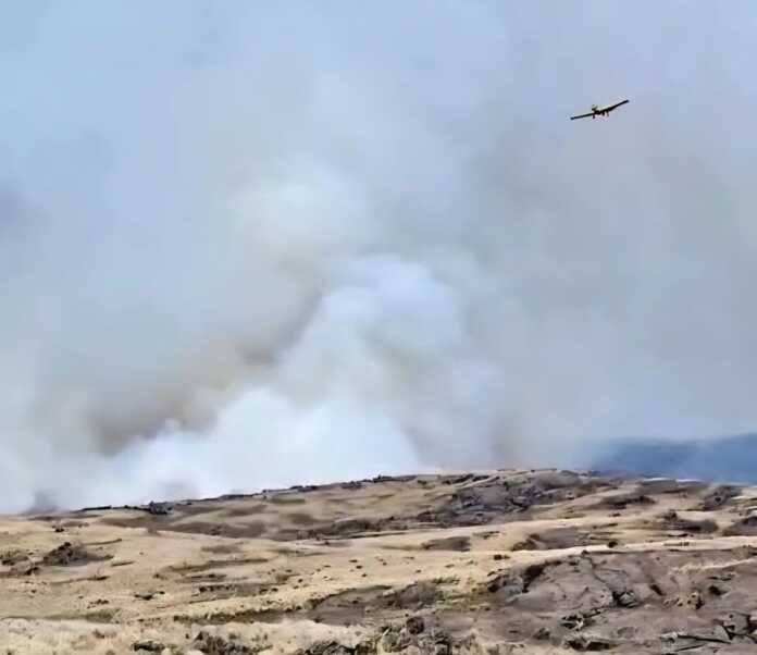 WhatsApp Image 2025-10-10 at 14.22.08