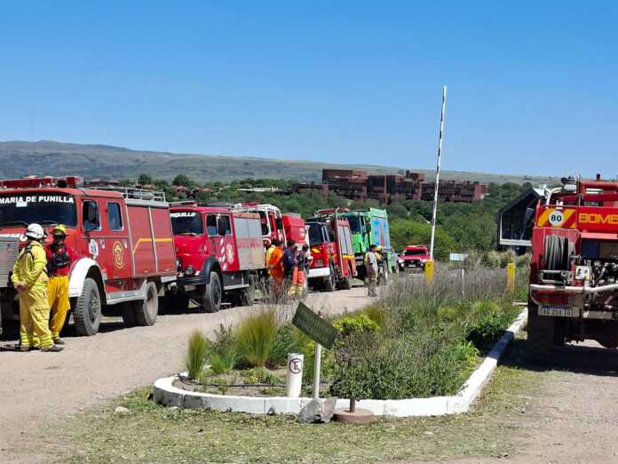 WhatsApp Image 2025-10-12 at 12.31.25