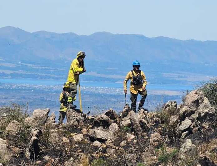 WhatsApp Image 2025-10-15 at 14.51.48