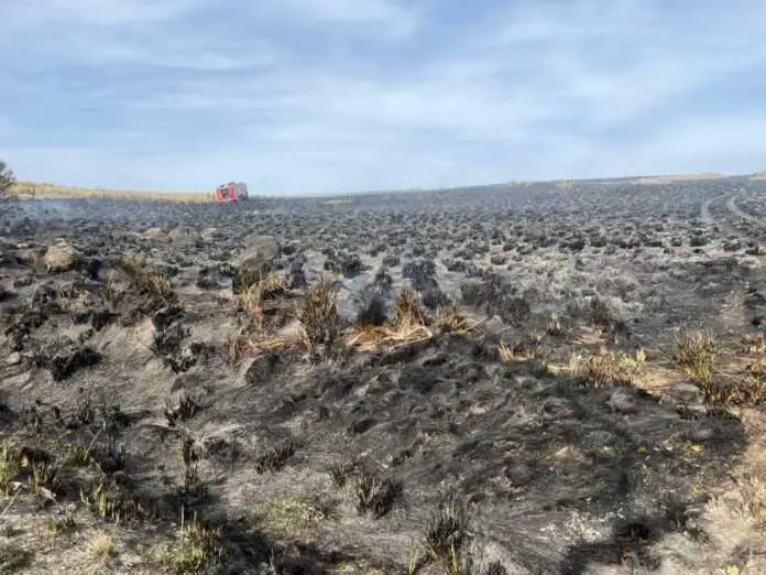 WhatsApp Image 2025-10-20 at 19.35.42