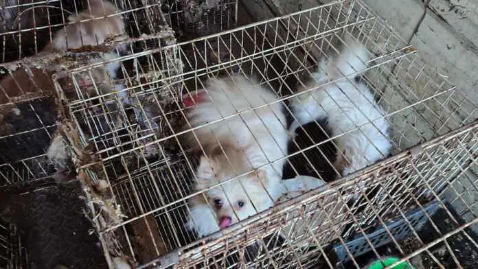 WhatsApp Image 2025-10-25 at 07.49.23