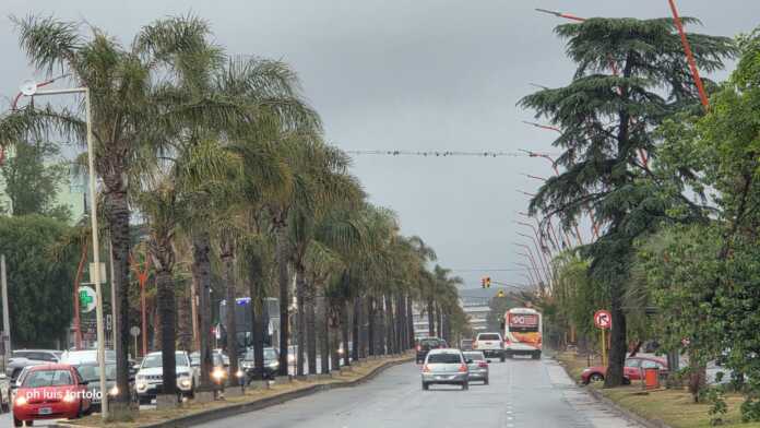 WhatsApp Image 2025-10-28 at 07.58.06