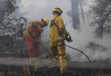 Bomberos sofocaron un incendio de campos en la Escuela de Aviación