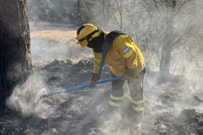 incendio-guardia-de-cenizas-768x513