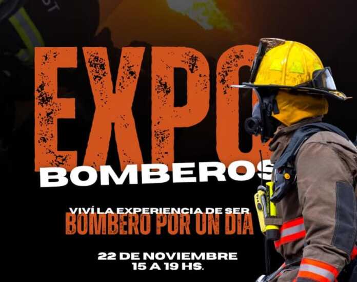 WhatsApp Image 2025-11-18 at 12.14.59