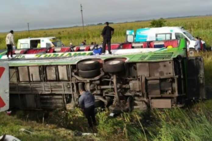 WhatsApp Image 2025-11-25 at 13.50.31