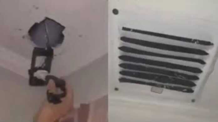 WhatsApp Image 2025-12-04 at 15.35.57