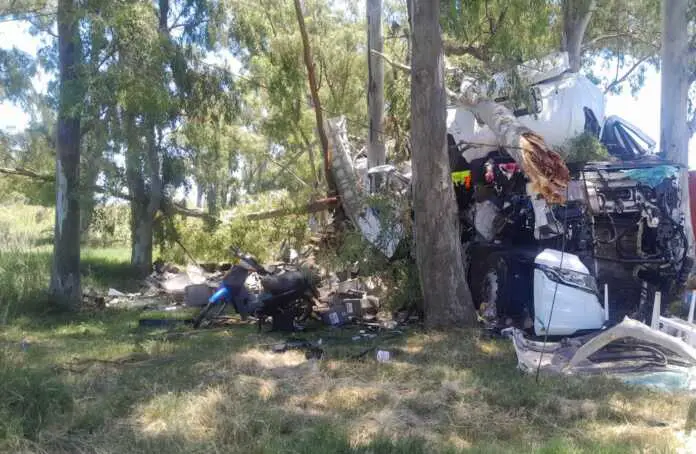 WhatsApp Image 2025-12-12 at 15.54.14