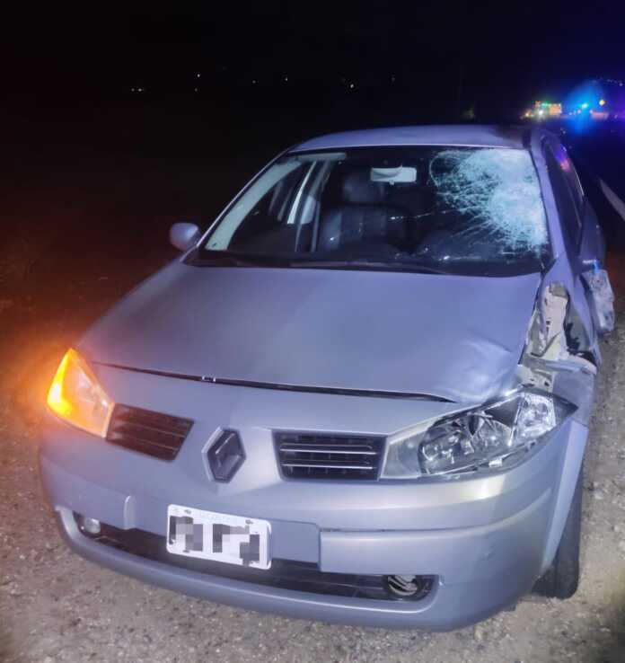 WhatsApp Image 2025-12-26 at 06.56.31