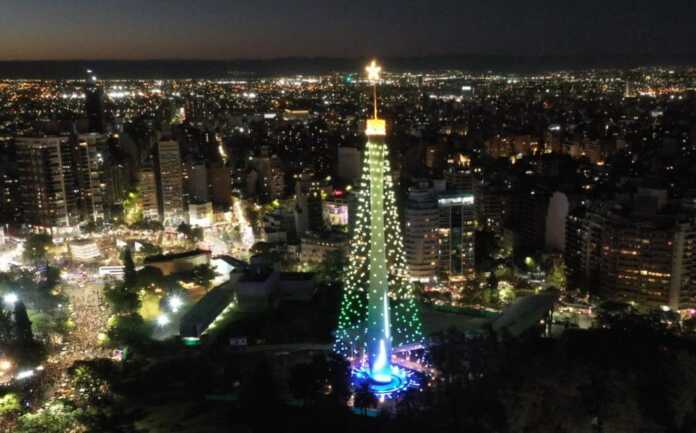 arbol1