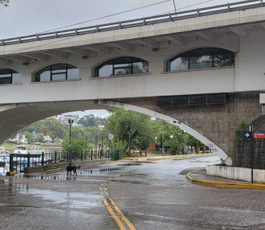Lloviznas persistentes y frío en Carlos Paz: cómo seguirá el resto de la semana