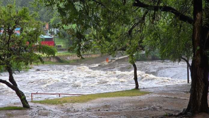 WhatsApp Image 2026-01-08 at 15.05.30