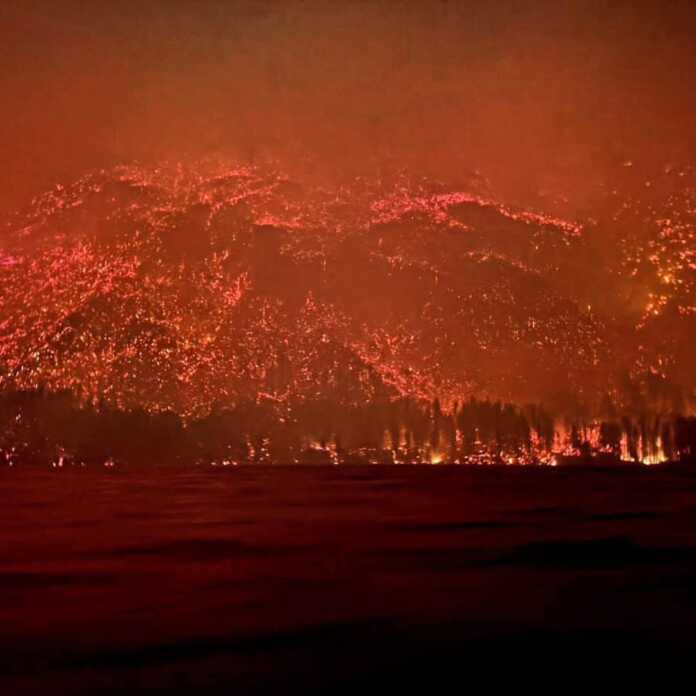 incendios patagonia