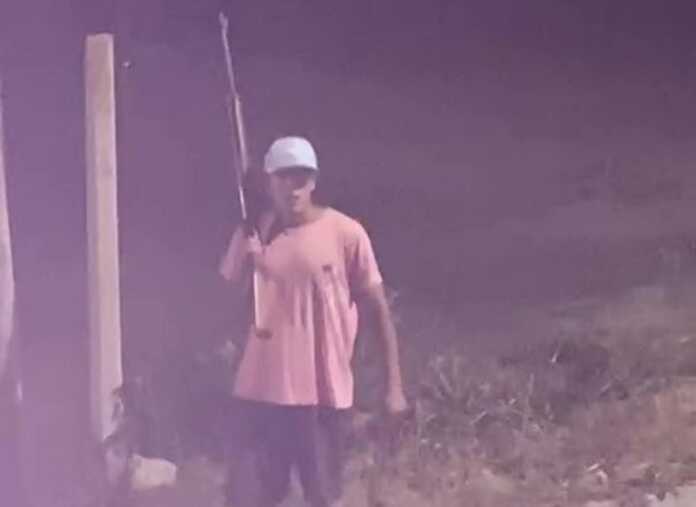 vecino rifle dee airee comprimido