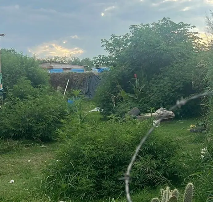 WhatsApp Image 2026-02-09 at 19.19.41