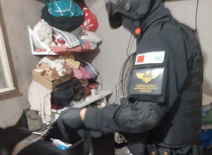 WhatsApp Image 2026-02-10 at 10.25.48