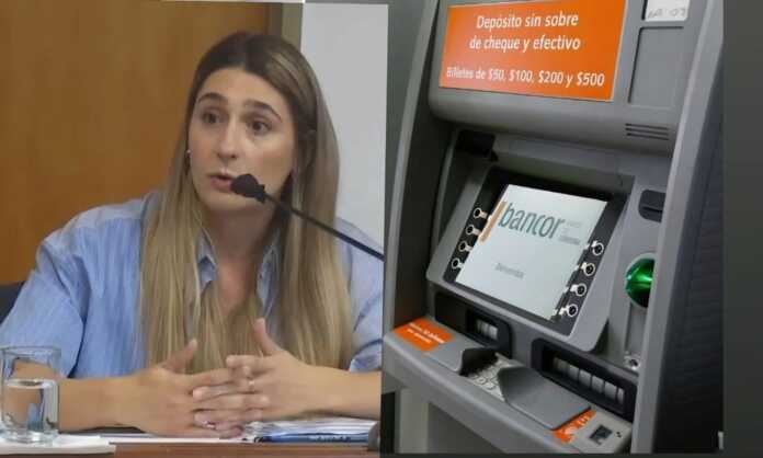 WhatsApp Image 2026-02-11 at 15.50.45