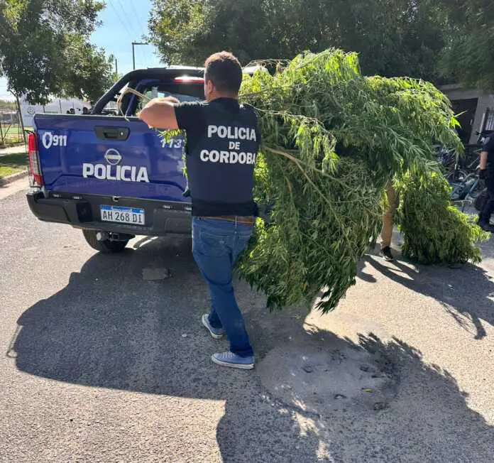 WhatsApp Image 2026-02-14 at 08.02.39