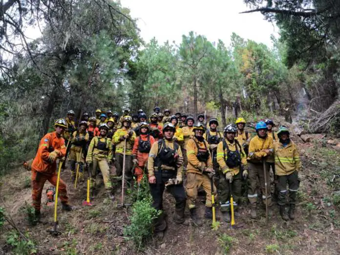 WhatsApp Image 2026-02-14 at 15.07.56