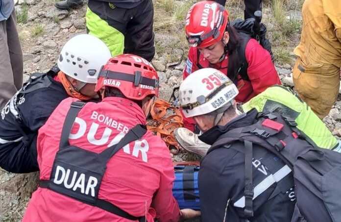 WhatsApp Image 2026-02-15 at 20.27.57