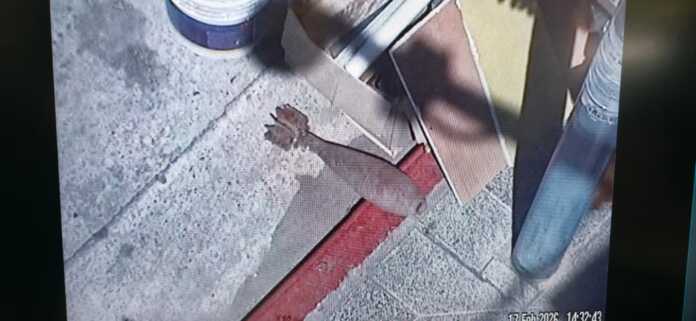 WhatsApp Image 2026-02-17 at 19.27.51