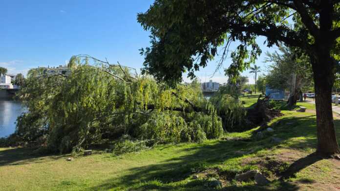 WhatsApp Image 2026-02-20 at 12.36.46