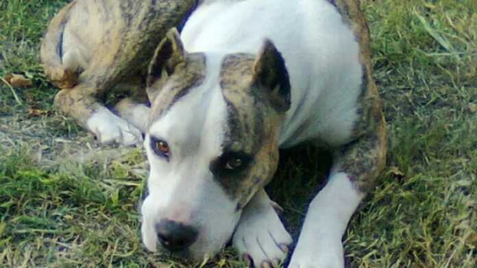 WhatsApp Image 2026-02-21 at 11.11.56