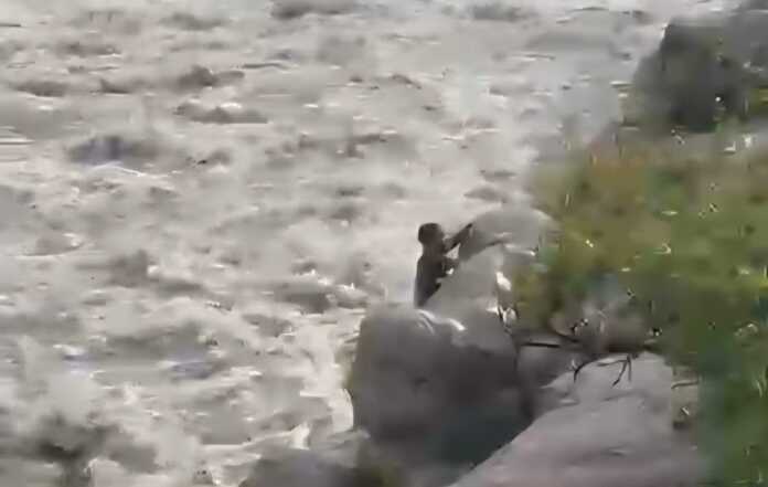 WhatsApp Image 2026-02-22 at 11.56.16