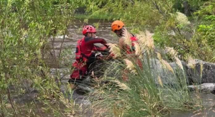 WhatsApp Image 2026-02-22 at 18.06.36