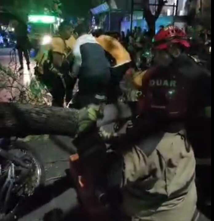 WhatsApp Image 2026-02-28 at 08.24.37