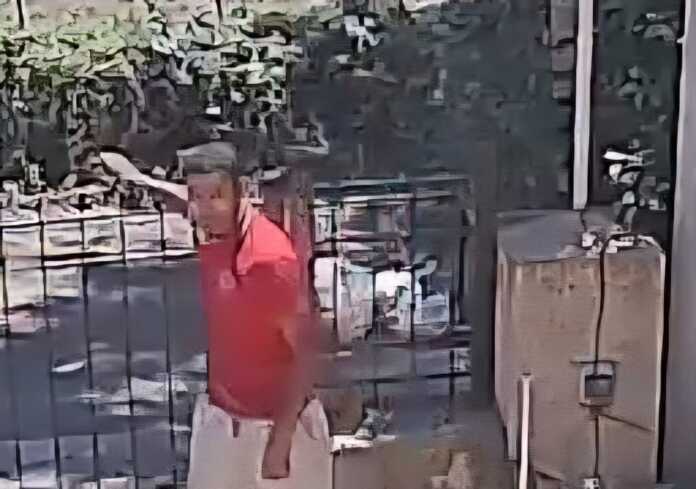 WhatsApp Image 2026-02-28 at 18.32.33