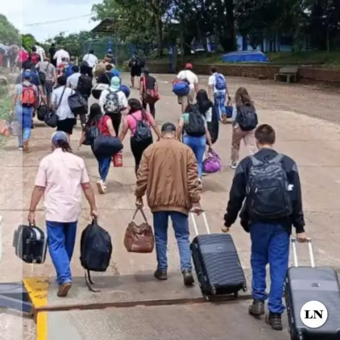 brasilpeones