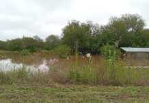 Ante las inundaciones en Tucumán Naranja X duplica tus donaciones a Cruz Roja Argentina